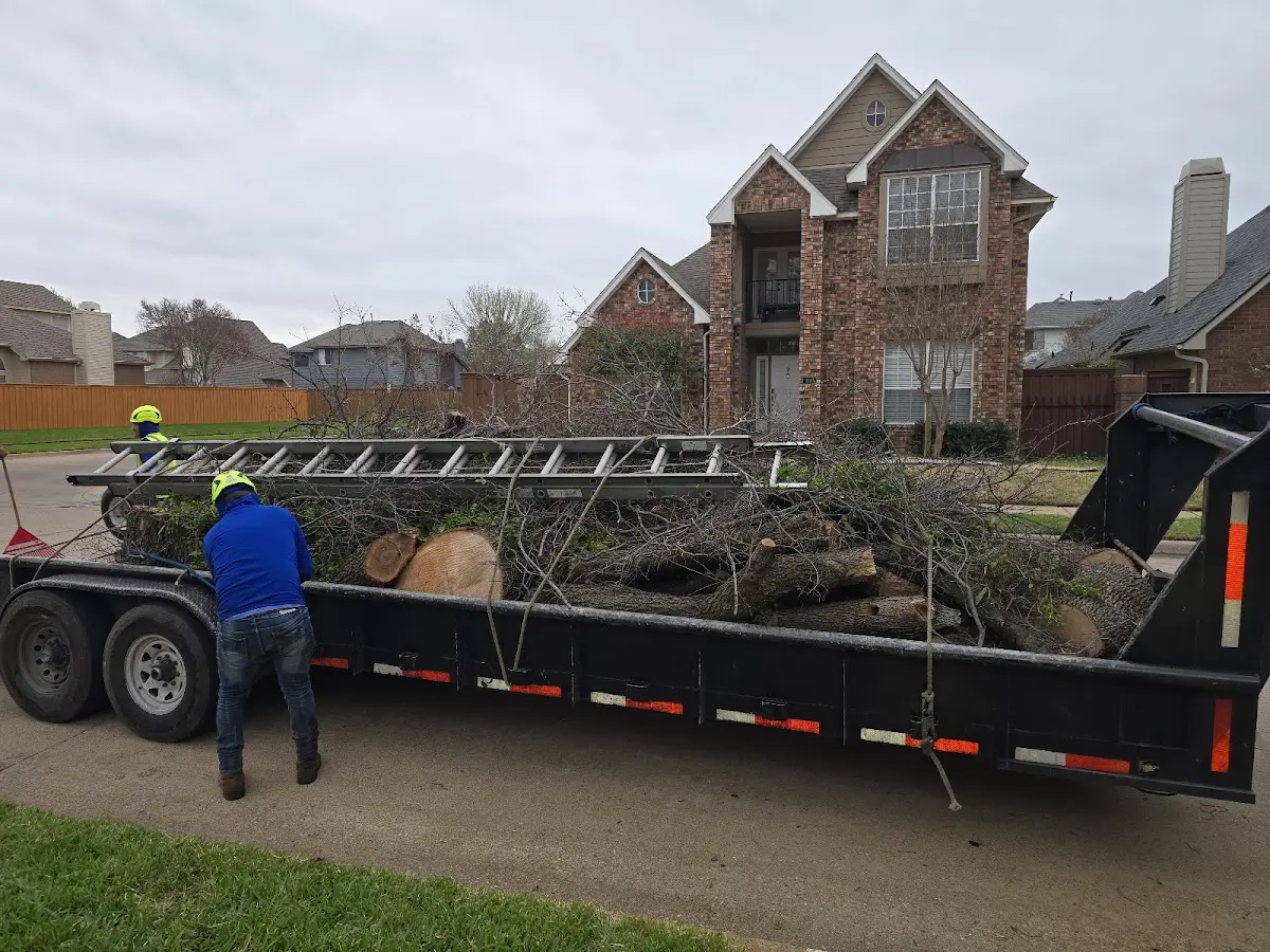 Expert Lot Clearing with proper safety equipment in Selma